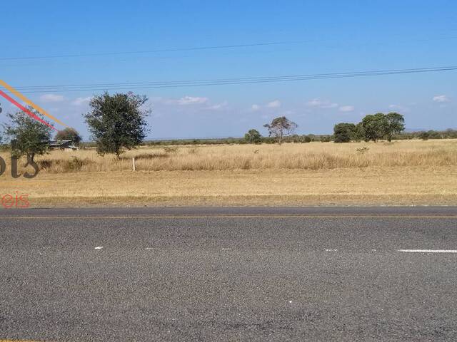 #81 - Terreno para Venda em Moamba - Maputo - 3