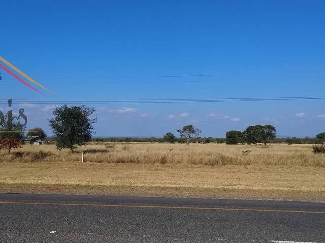 #81 - Terreno para Venda em Moamba - Maputo - 1