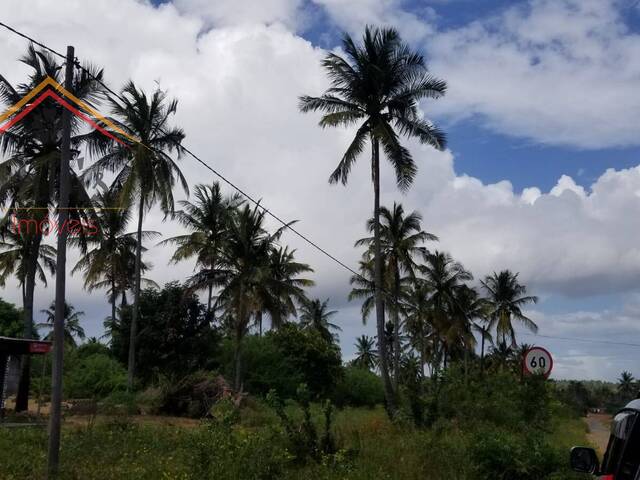 #219 - Área para Venda em Inhambane - Inhambane - 1