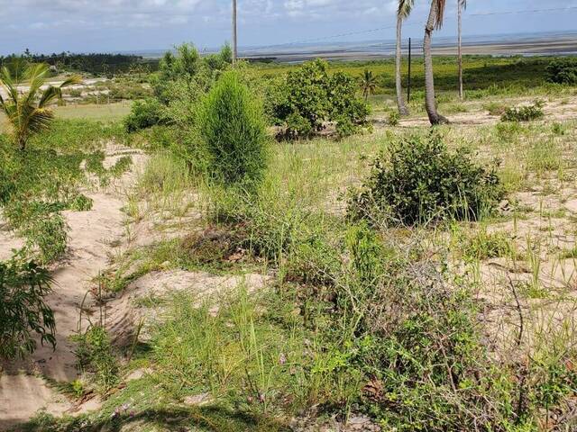 #222 - Área para Venda em Inhambane - Inhambane - 3