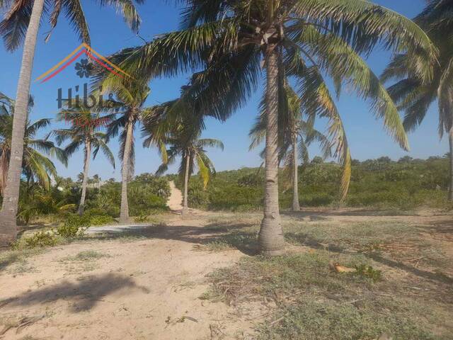 #801 - Terreno para Venda em Inhambane - Inhambane - 1