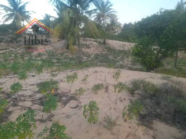 #825 - Terreno para Venda em Inhambane - Inhambane - 2