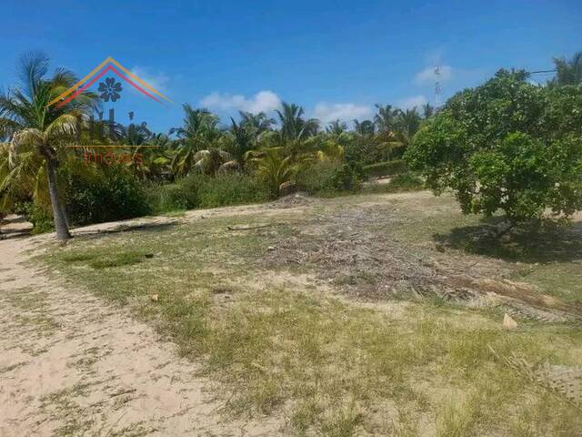 #825 - Terreno para Venda em Inhambane - Inhambane - 3