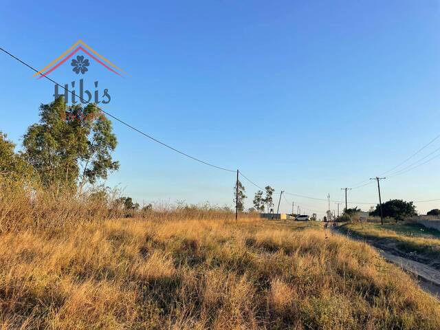 #1000 - Terreno para Venda em Maputo - Maputo - 2