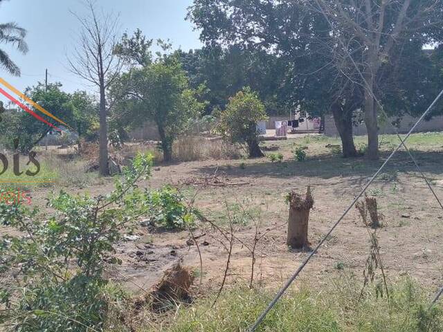 Venda em Tchumene 2 - Maputo