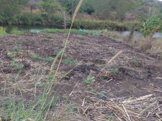 #1057 - Terreno para Venda em Maputo - Maputo - 2