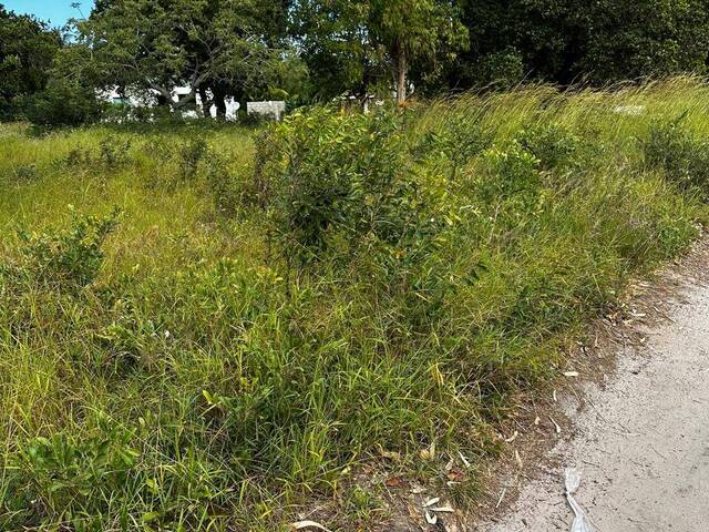 #1445 - Terreno para Venda em Bilene - Gaza - 2